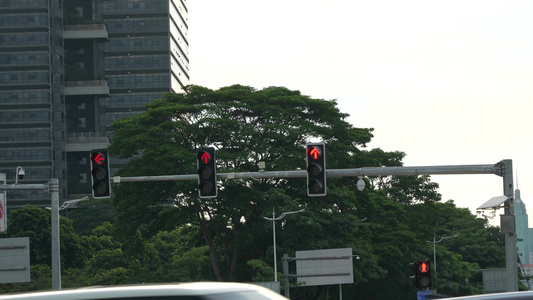 城市交通信号灯视频