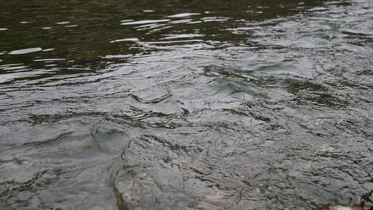 慢动作升格水流水源流水实拍视频视频