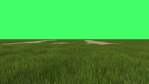 背景绿色屏幕上绿地的动画17秒视频