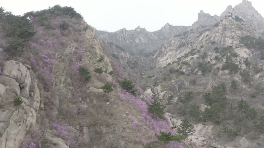 青岛大珠山风景区航拍视频