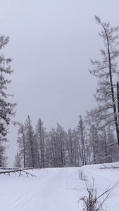 北极户外雪地摩托探险视频