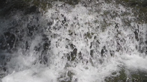 国家5A级旅游景区重庆黑山谷溪流升格拍摄37秒视频
