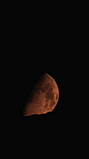 月落西山15秒视频