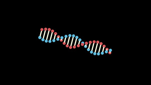 高雅黑色背景的旋转dna14秒视频