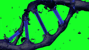绿幕基因动画7秒视频