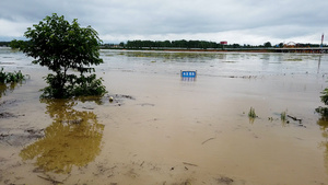 暴雨洪涝灾害62秒视频