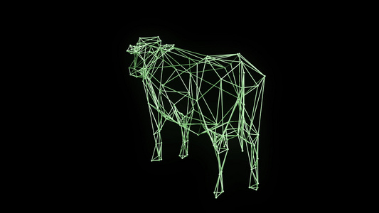 3d奶牛框架模型视频