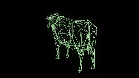 3d线性全息奶牛动物框架模型视频