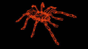 蜘蛛的电线框架模型15秒视频