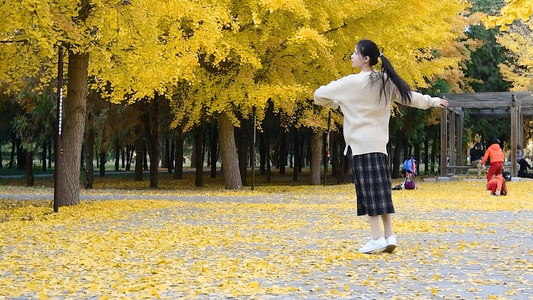  1080升格秋天银杏树下的少女视频