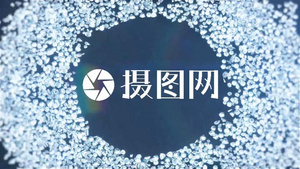 宝石钻石向上累积汇聚落下标题标志LOGO展示会声会影X10模板21秒视频