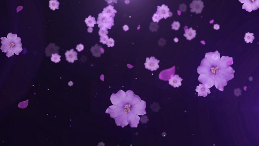 唯美花瓣花朵飘落背景视频