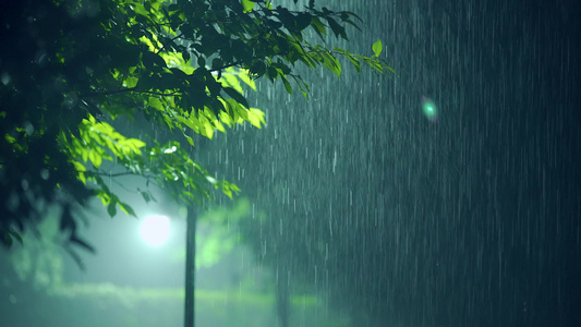 4k夏日夜晚暴雨夜雨下雨空镜视频