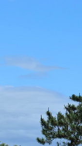 降落的飞机蓝天白云视频