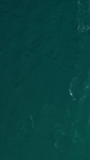 飞驰的摩托艇海上运动20秒视频