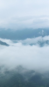 商洛北阳山雨后云海航拍视频