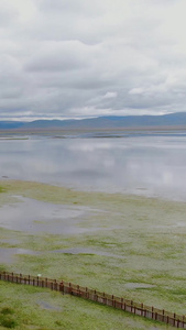 甘南旅游景点尕海湖旅游景区航拍视频自然风光视频