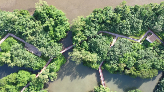 航拍海南三亚河畔红树林公园三亚城市乐园视频