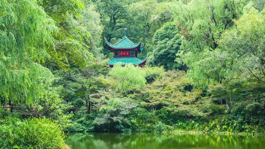 长沙爱晚亭长沙旅游宣传片视频