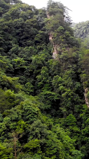 张家界山林航拍38秒视频