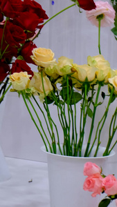 情人节花店出售各种颜色的玫瑰花花店摆设的鲜花视频