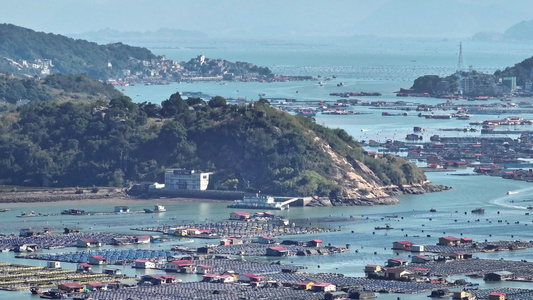 鱼排 渔船繁忙景象 渔港与海上养殖全景视频