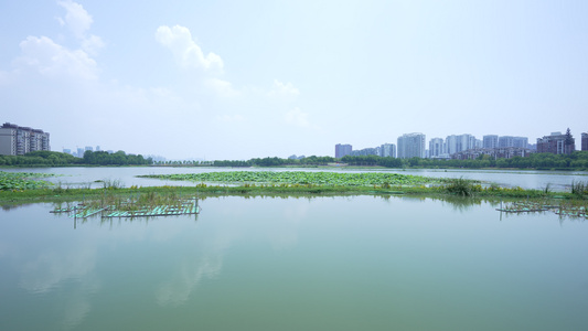 武汉南湖幸福湾水上公园风景视频