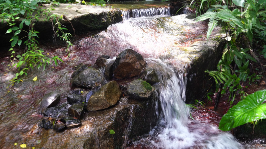 小溪流水 清澈水流 视频