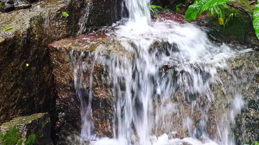 小溪流水 清澈水流 视频