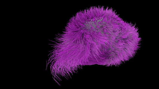 细菌细胞科学3d视频