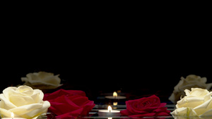 蜡烛和玫瑰在水面31秒视频
