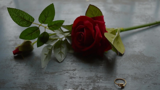 在质朴的金属地板上关闭黄金订婚戒指首饰软焦点浪漫红色视频