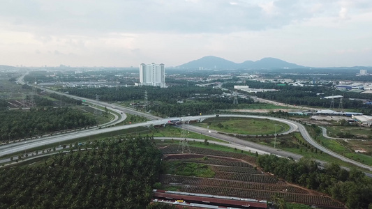 在高速公路旁的油棕榈地上空飞翔视频