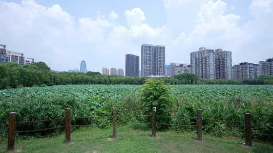 武汉南湖幸福湾水上公园风景视频