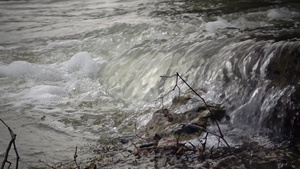从脏水自然水富营养化湖泊和河流生态中迅速流出的水25秒视频
