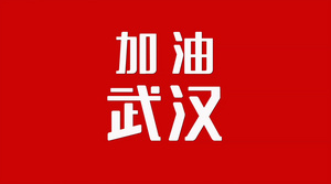 武汉加油快闪AE模板26秒视频