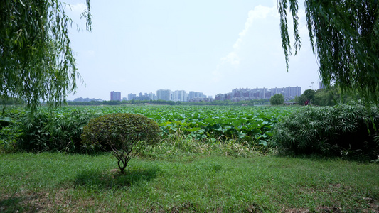 武汉南湖幸福湾水上公园风景视频