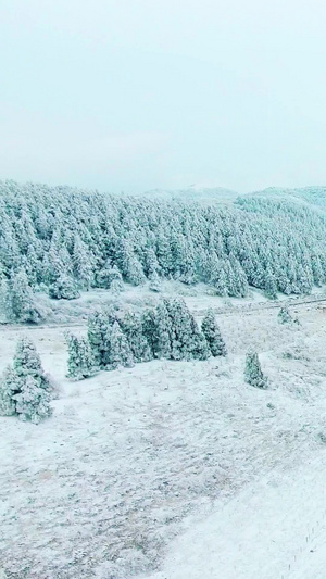 武隆仙女山中国最美观光公路雪地公路上的小火车武隆喀斯特旅游区76秒视频
