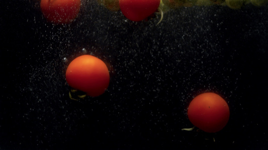 鲜贝芽和番茄在水中飘落并喷洒视频