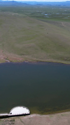 航拍5A景区巴音布鲁克草原天鹅家园景观区自然保护区49秒视频