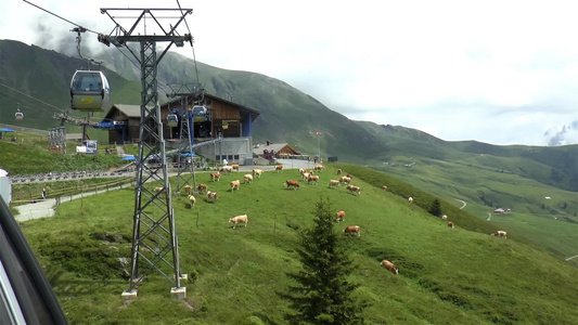 赛昂人先爬上高架瑞士视频