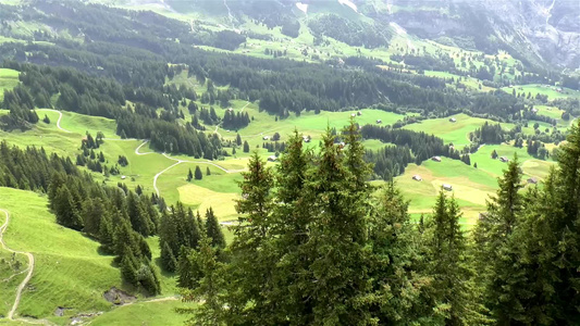 赛昂人先爬上高架瑞士视频