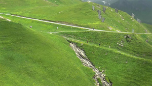 赛昂人先爬上高架瑞士8秒视频