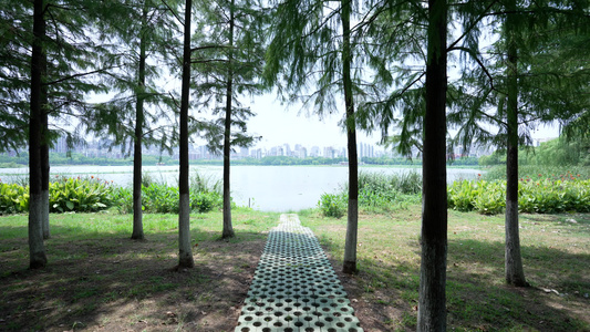 武汉南湖幸福湾水上公园风景视频