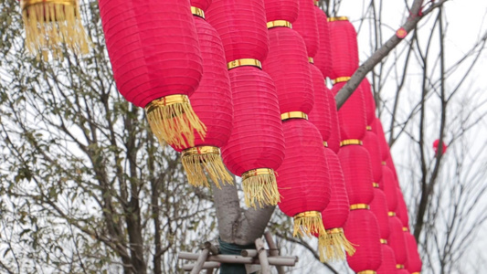 喜庆大红灯笼挂起实拍视频素材视频