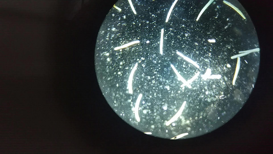显微镜放大镜下微生物或微生物的特写宏而不是3d动画视频