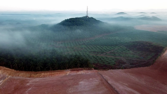 空中观光飞向被石油种植园包围的电讯塔上视频