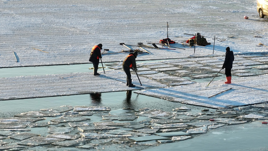 4K哈尔滨冬季松花江采冰冰雪大世界建设航拍视频