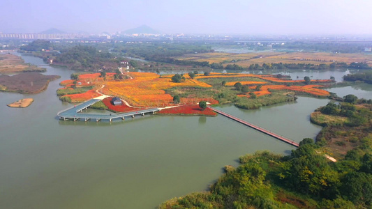 德清下渚湖湿地风光风景视频