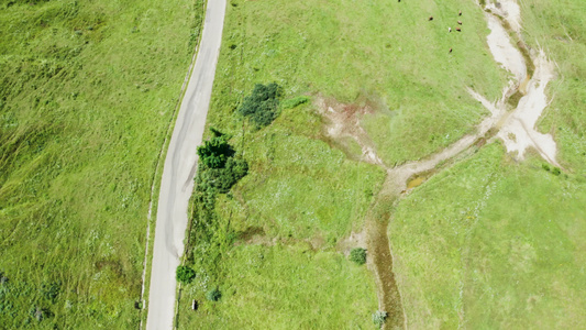 自上而下无人机拍摄的农村道路上没有人视频